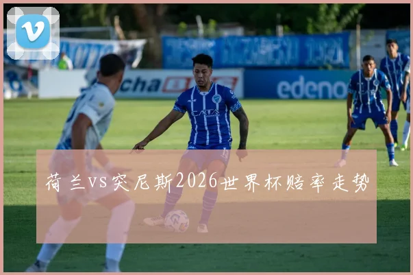 荷兰vs突尼斯2026世界杯赔率走势