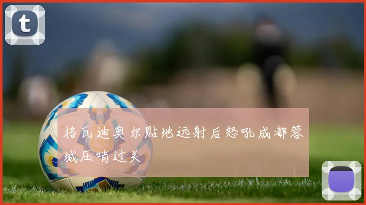 格瓦迪奥尔贴地远射后怒吼成都蓉城压哨过关