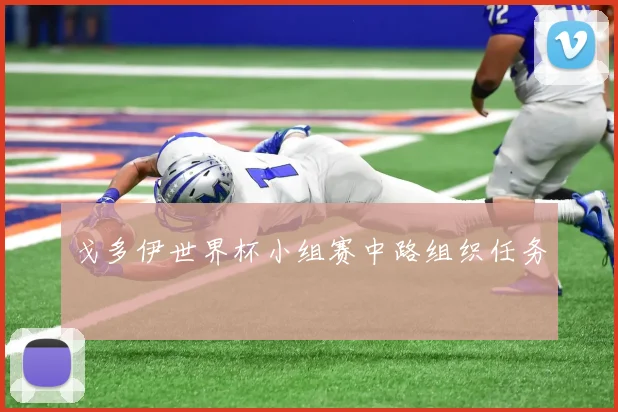 戈多伊世界杯小组赛中路组织任务