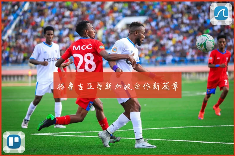 格鲁吉亚与新加坡合作新篇章