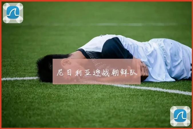 尼日利亚迎战朝鲜队