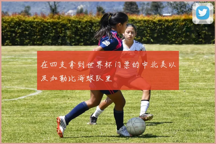在四支拿到世界杯门票的中北美以及加勒比海球队里