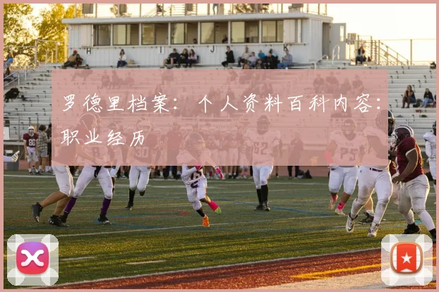 罗德里档案：个人资料百科内容：职业经历