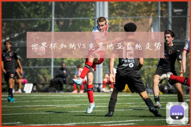 世界杯加纳vs克罗地亚首轮走势